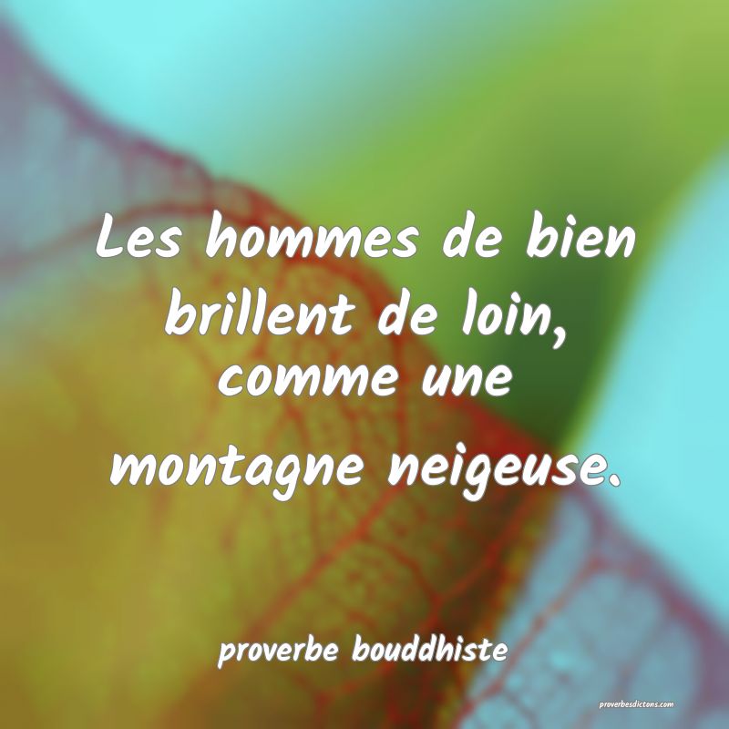 Les hommes de bien brillent de loin, comme une montagne neigeuse.
