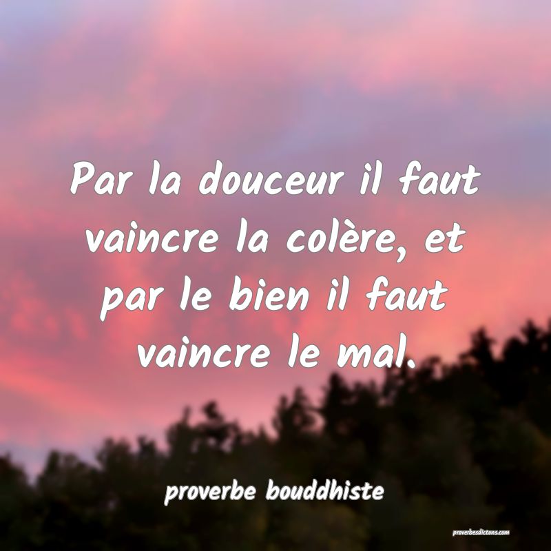 Par la douceur il faut vaincre la colère, et par le bien il faut vaincre le mal.

