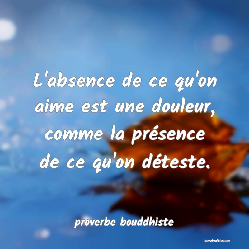 L'absence de ce qu'on aime est une douleur, comme la présence de ce qu'on déteste.
