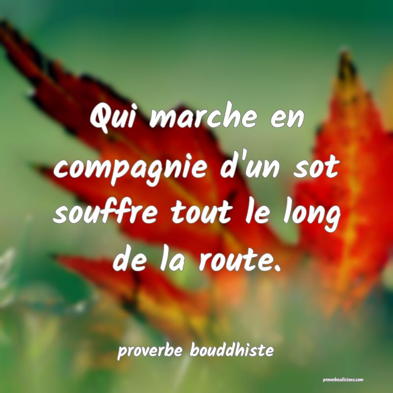 Qui marche en compagnie d'un sot souffre tout le long de la route.
