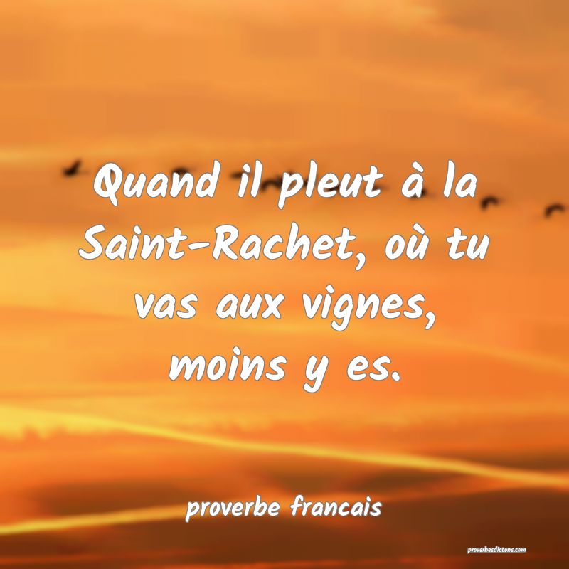 Quand il pleut à la Saint-Rachet, où tu vas aux vignes, moins y es.