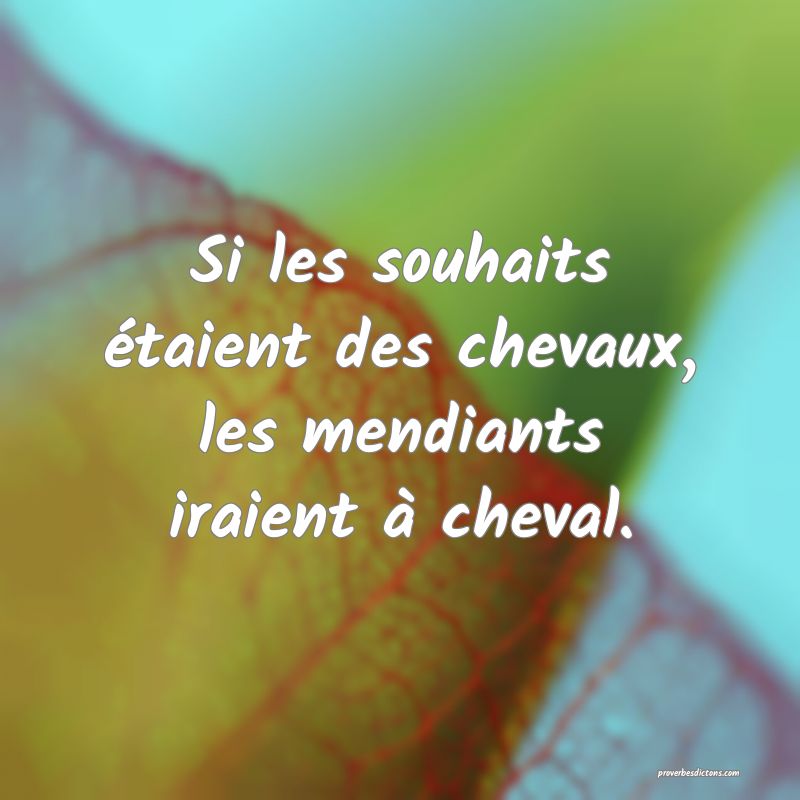 Si les souhaits étaient des chevaux, les mendiants iraient à cheval.