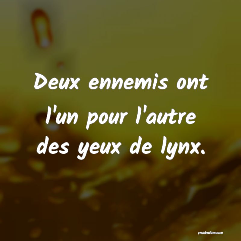Deux ennemis ont l'un pour l'autre des yeux de lynx.