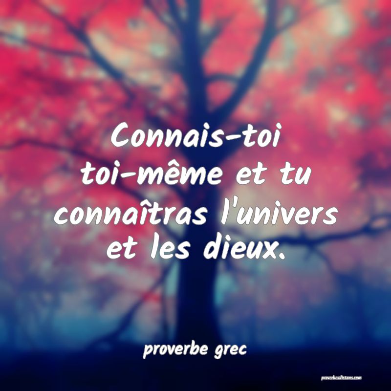 Connais-toi toi-même et tu connaîtras l'univers et les dieux.