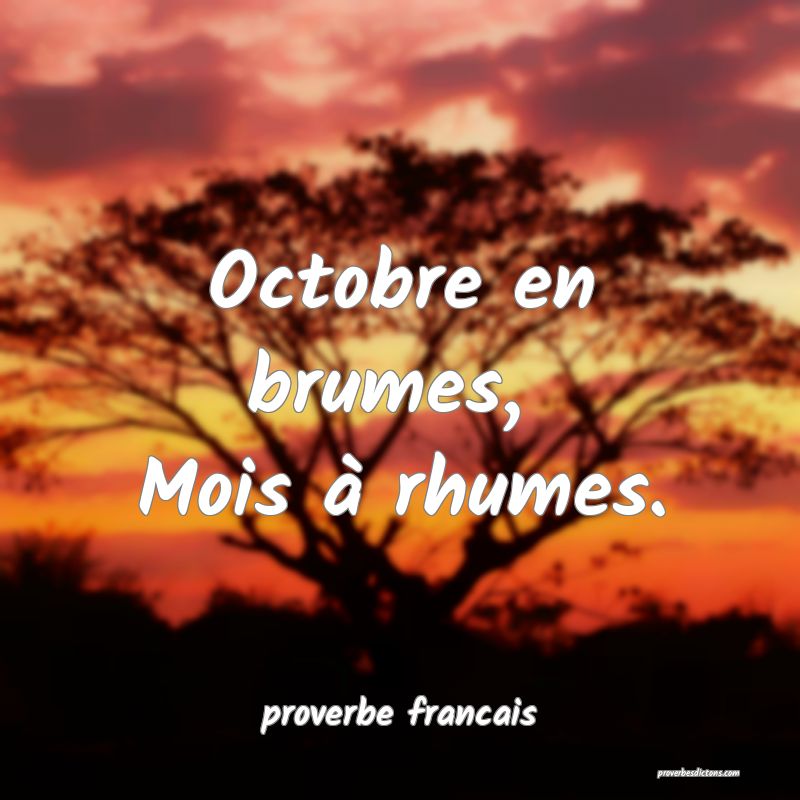 Octobre en brumes, 
Mois à rhumes.