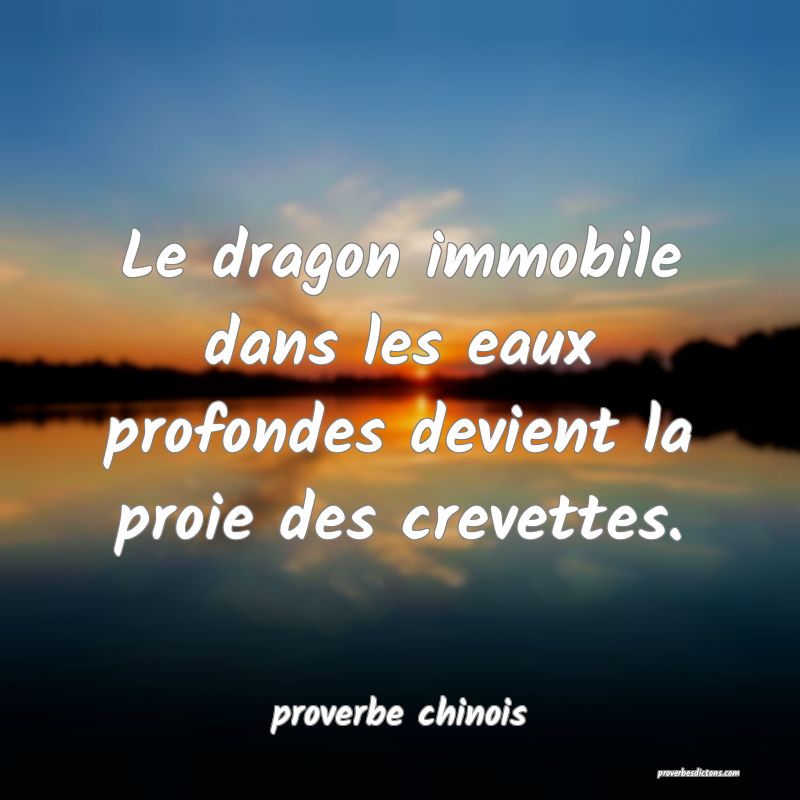  Le dragon immobile dans les eaux profondes devient la proie des crevettes.