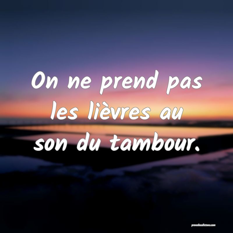 On ne prend pas les lièvres au son du tambour.