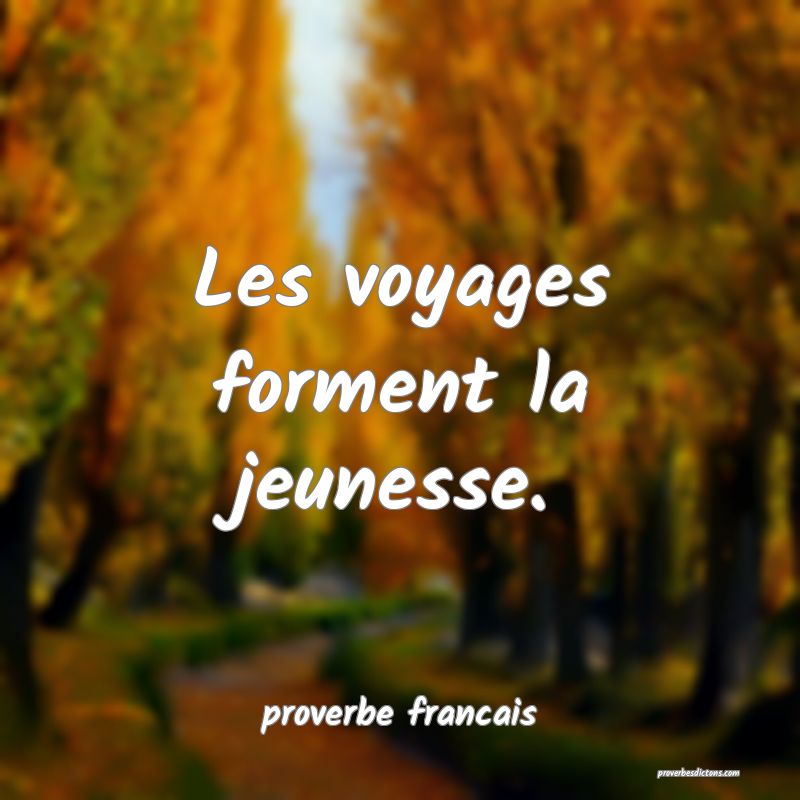 Les voyages forment la jeunesse.
