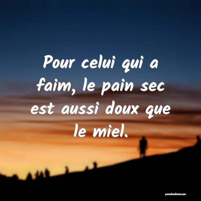 Pour celui qui a faim, le pain sec est aussi doux que le miel.