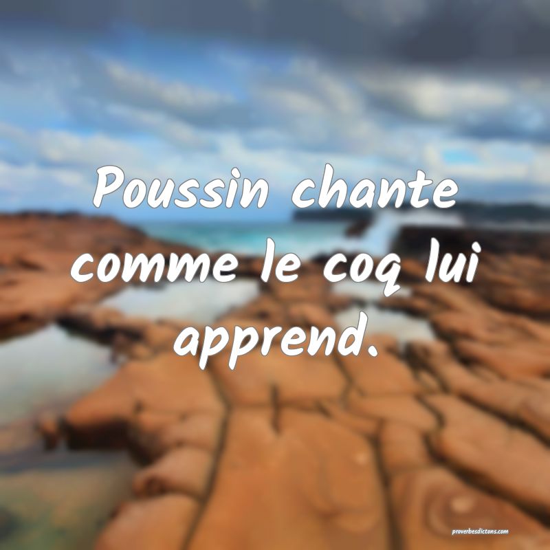 Poussin chante comme le coq lui apprend.