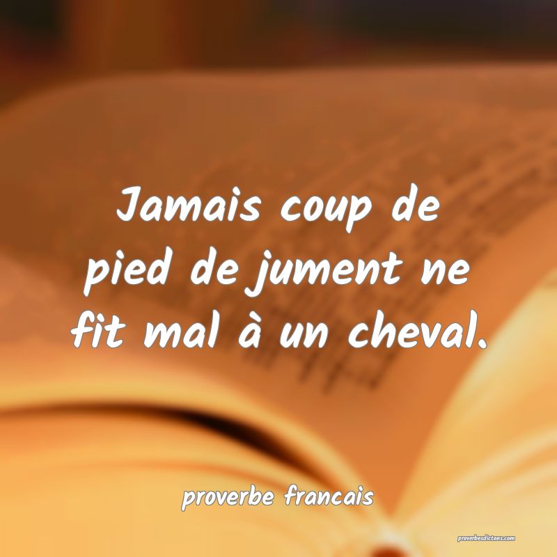 Jamais coup de pied de jument ne fit mal à un cheval.