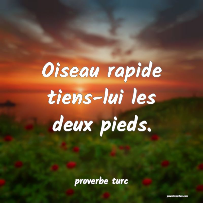 Oiseau rapide tiens-lui les deux pieds.