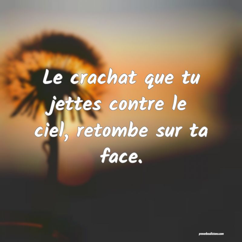 Le crachat que tu jettes contre le ciel, retombe sur ta face.