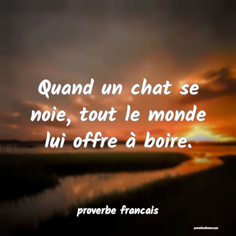 Quand un chat se noie, tout le monde lui offre à boire.