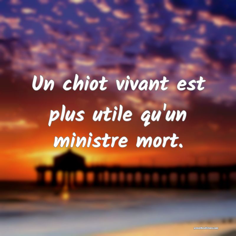 Un chiot vivant est plus utile qu'un ministre mort.