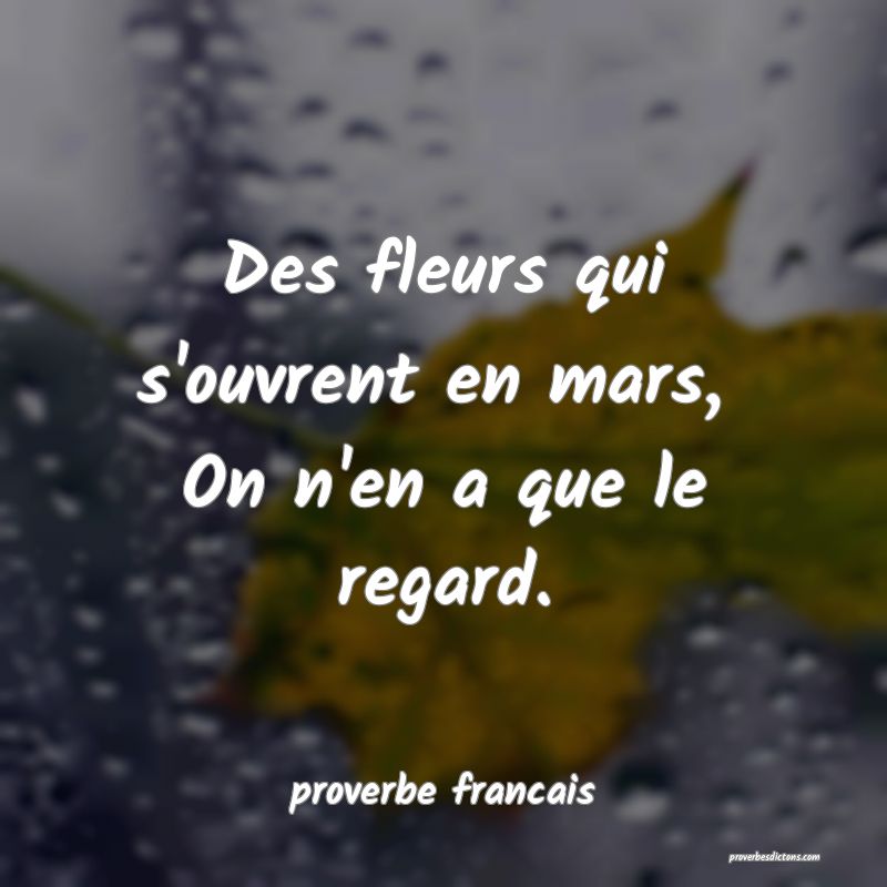 Des fleurs qui s'ouvrent en mars, 
On n'en a que le regard.
