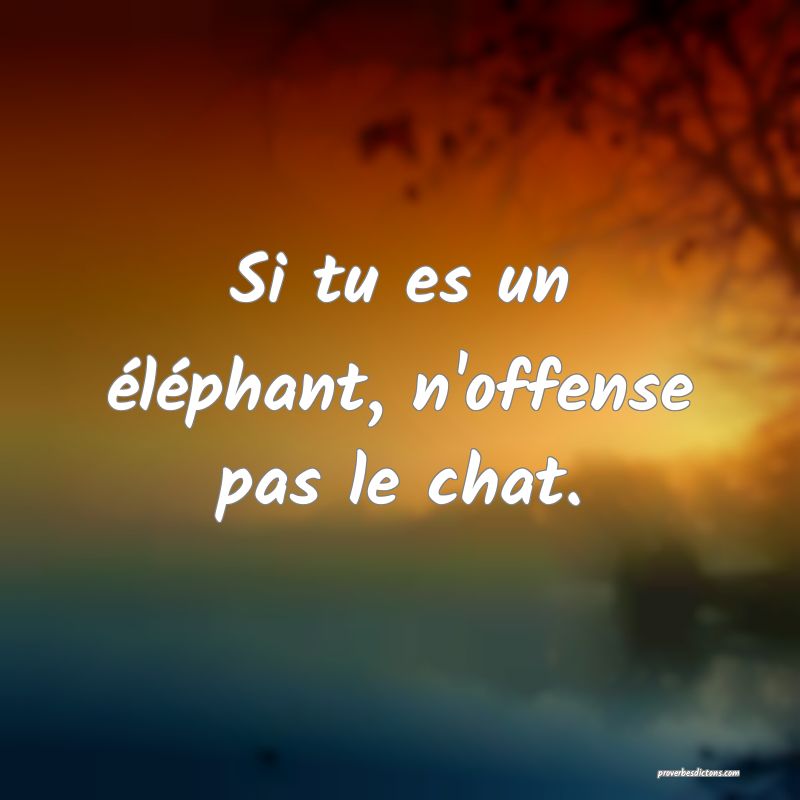Si tu es un éléphant, n'offense pas le chat.