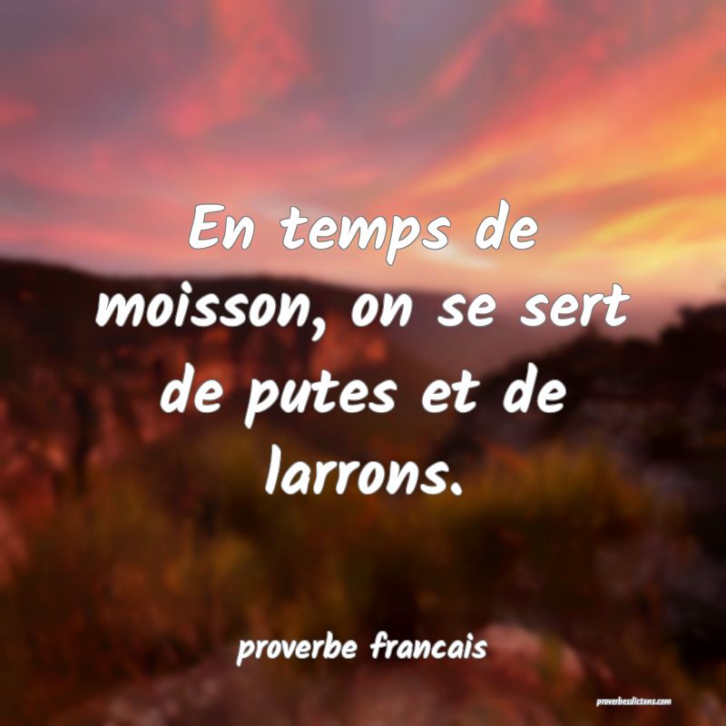 En temps de moisson, on se sert de putes et de larrons.