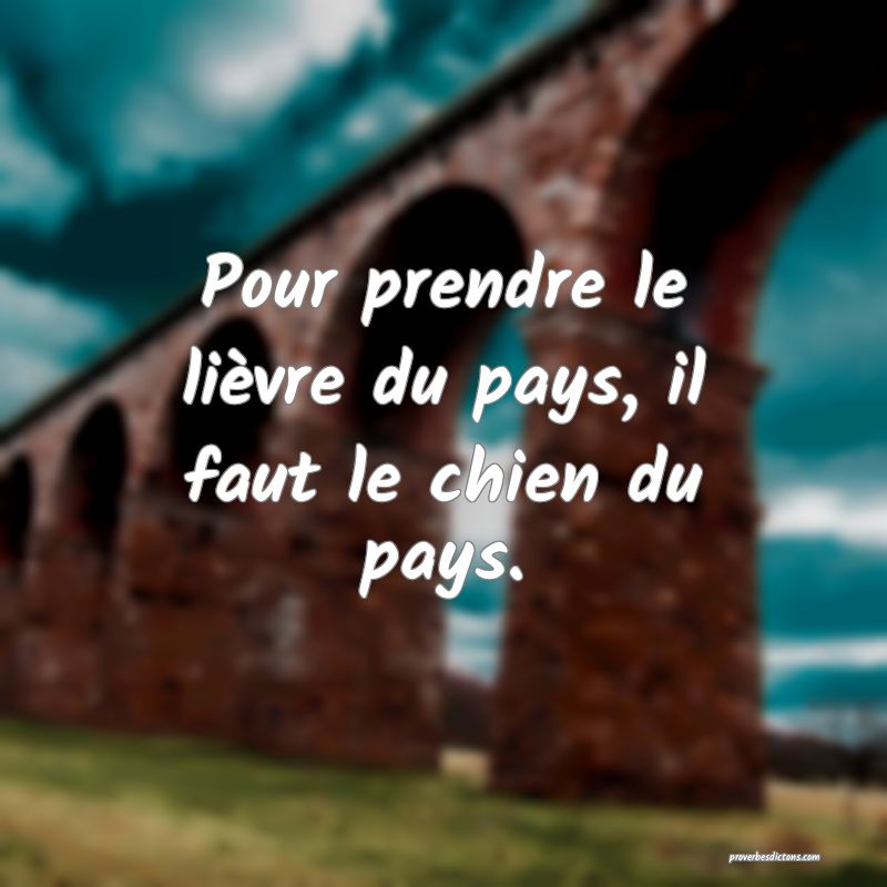Pour prendre le lièvre du pays, il faut le chien du pays.