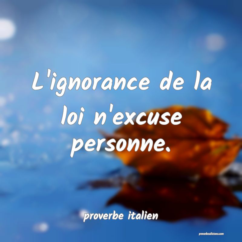 L'ignorance de la loi n'excuse personne.