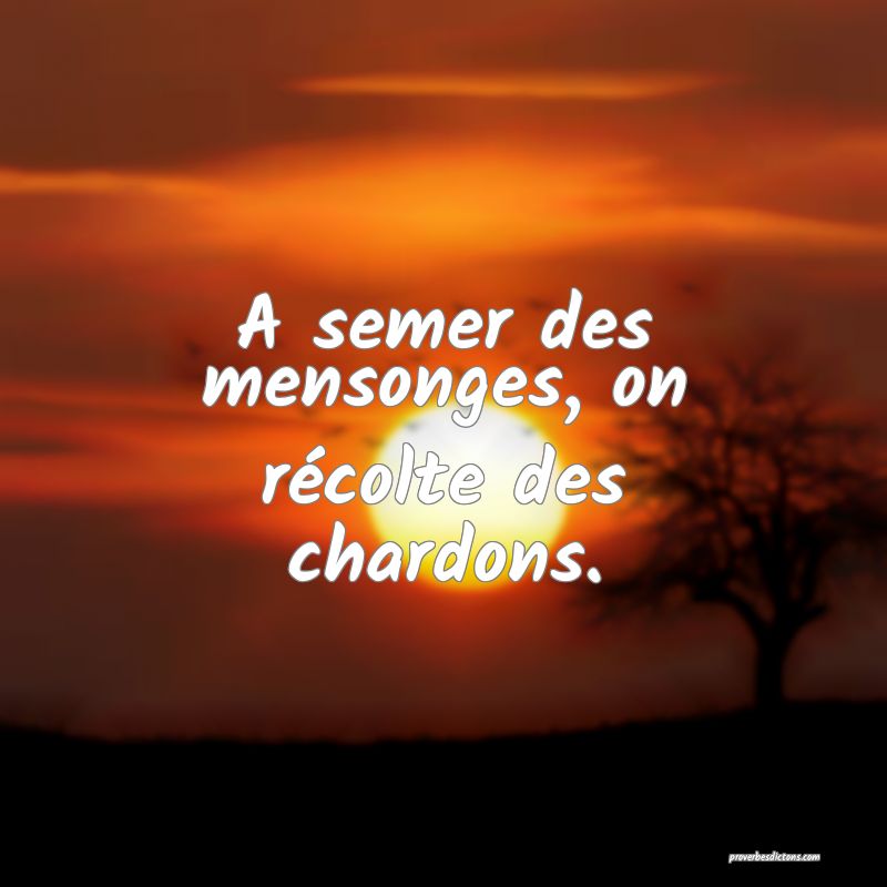 A semer des mensonges, on récolte des chardons.