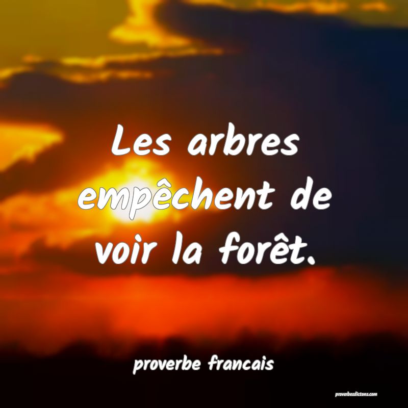 Les arbres empêchent de voir la forêt.