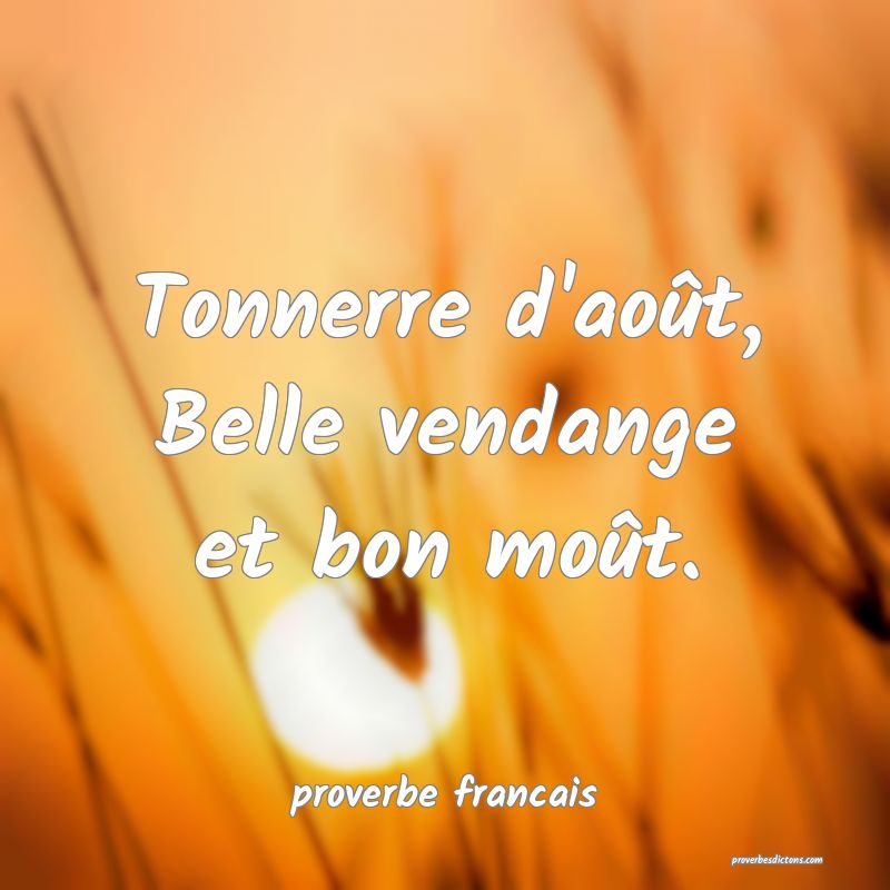 Tonnerre d'août,
Belle vendange et bon moût.