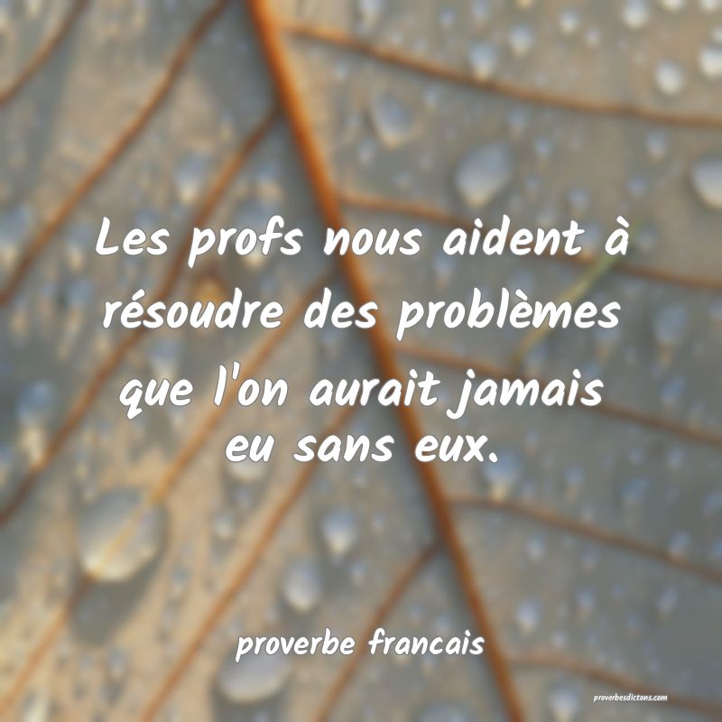 Les profs nous aident à résoudre des problèmes que l'on aurait jamais eu sans eux.