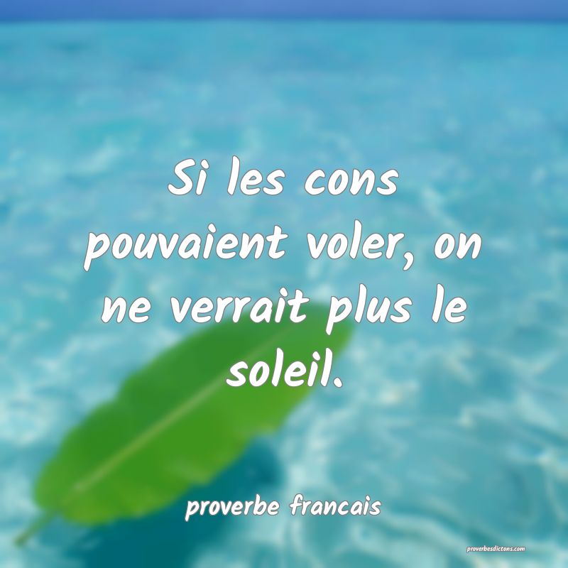 Si les cons pouvaient voler, on ne verrait plus le soleil.