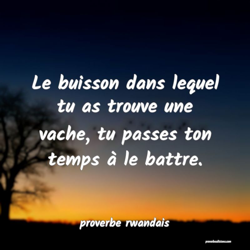 Le buisson dans lequel tu as trouve une vache, tu passes ton temps à le battre.