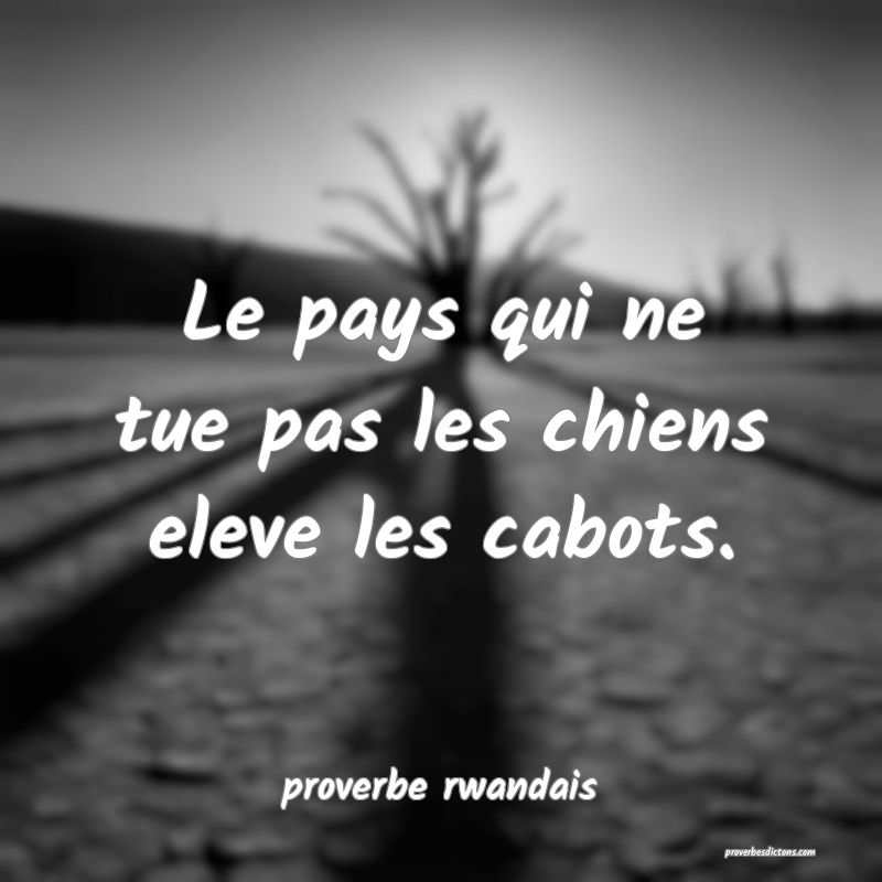 Le pays qui ne tue pas les chiens eleve les cabots.