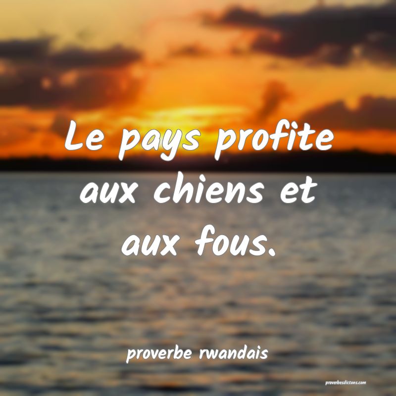 Le pays profite aux chiens et aux fous.