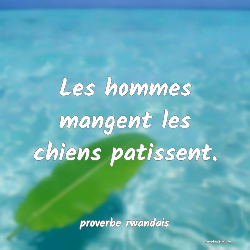 Les hommes mangent les chiens patissent.