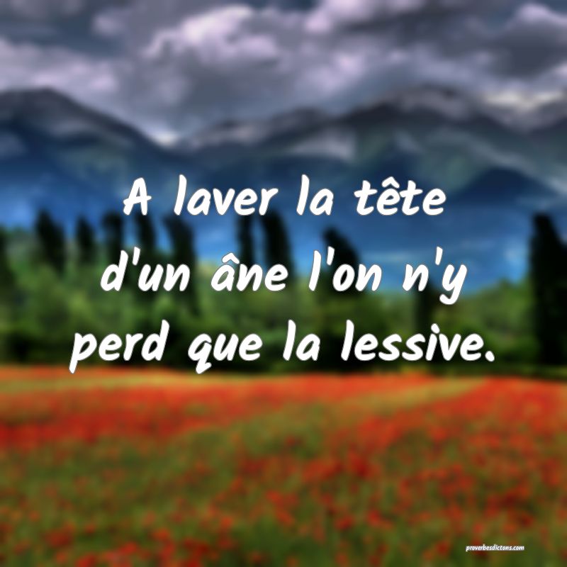 A laver la tête d'un âne l'on n'y perd que la lessive.