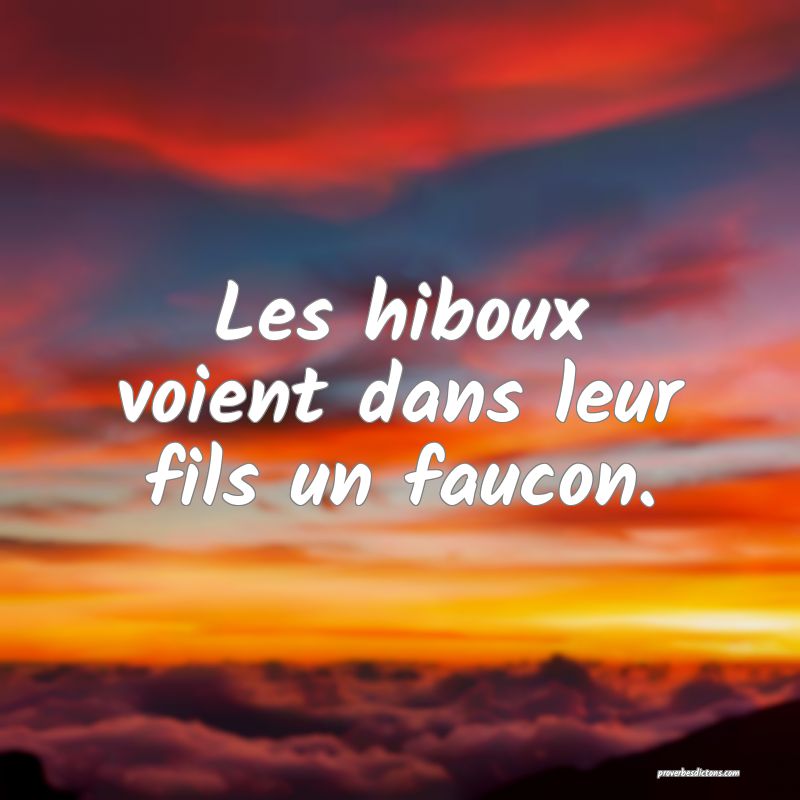 Les hiboux voient dans leur fils un faucon.