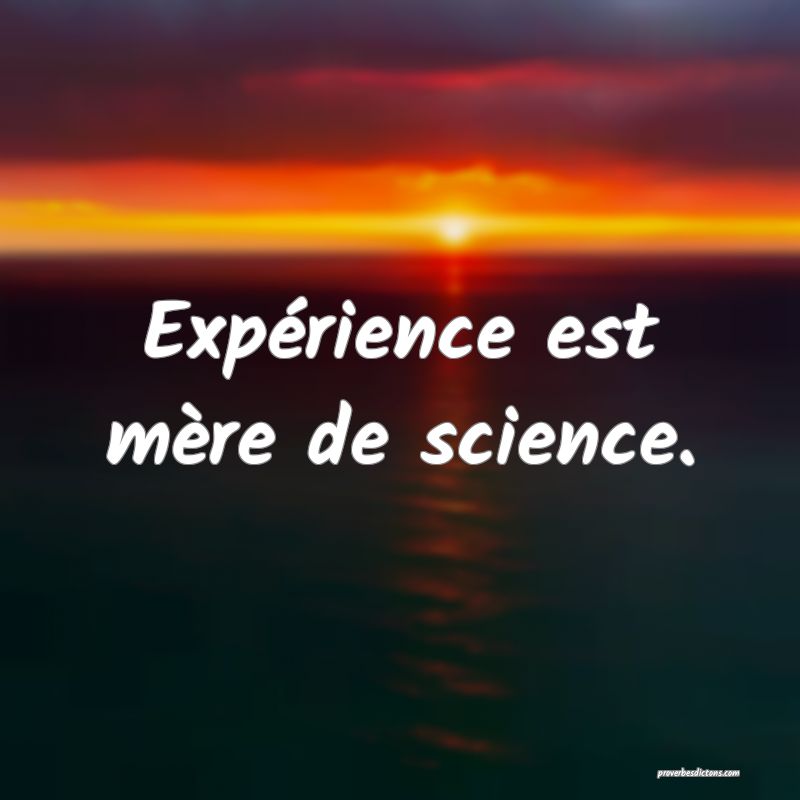 Expérience est mère de science.