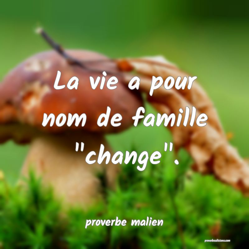 La vie a pour nom de famille 