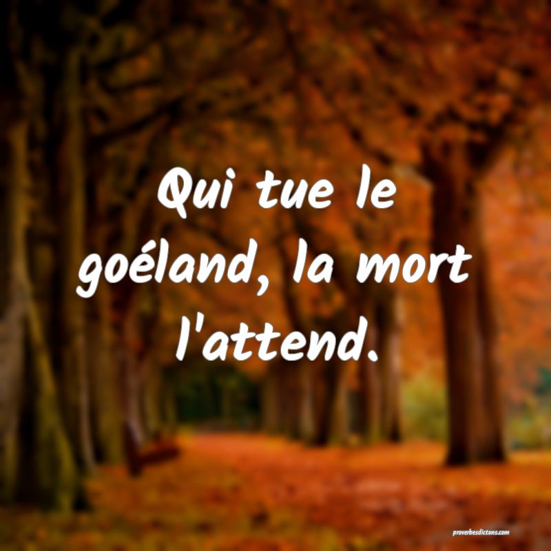 Qui tue le goéland, la mort l'attend.