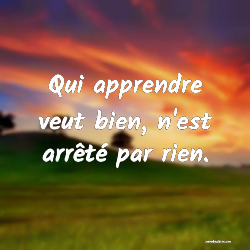 Qui apprendre veut bien, n'est arrêté par rien.