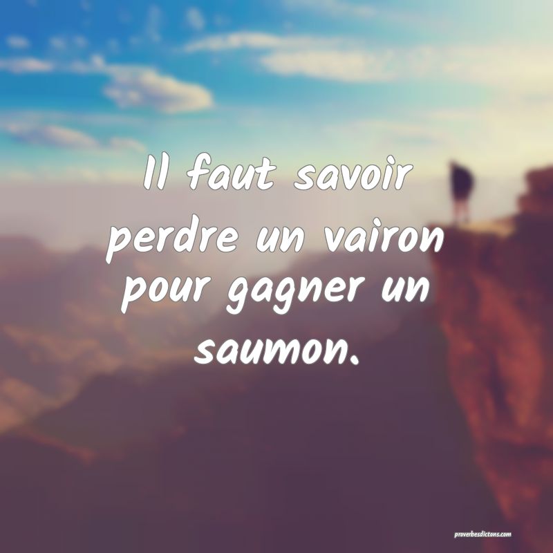 Il faut savoir perdre un vairon pour gagner un saumon.