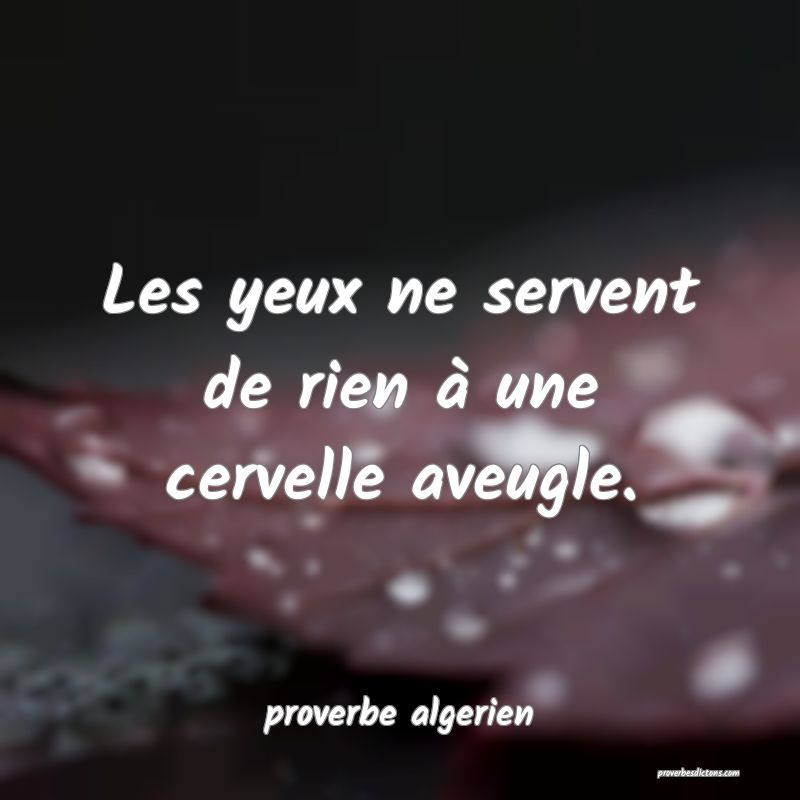  Les yeux ne servent de rien à une cervelle aveugle.