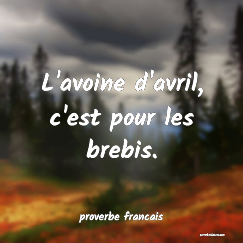 L'avoine d'avril, c'est pour les brebis.