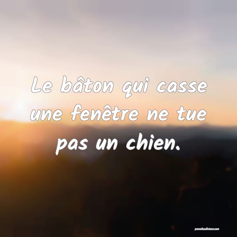 Le bâton qui casse une fenêtre ne tue pas un chien.