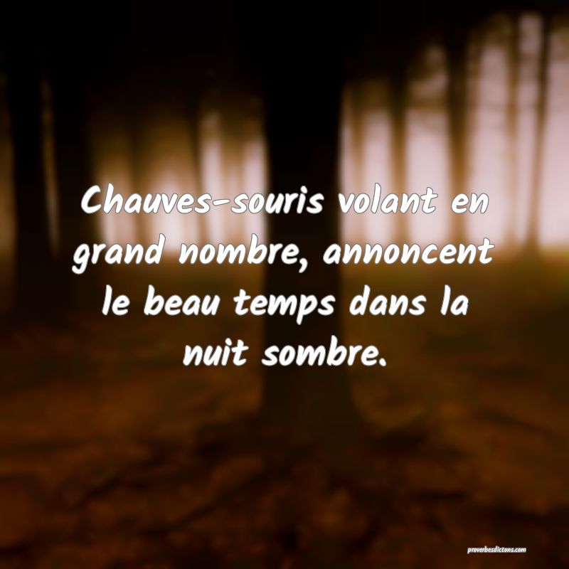 Chauves-souris volant en grand nombre, annoncent le beau temps dans la nuit sombre.