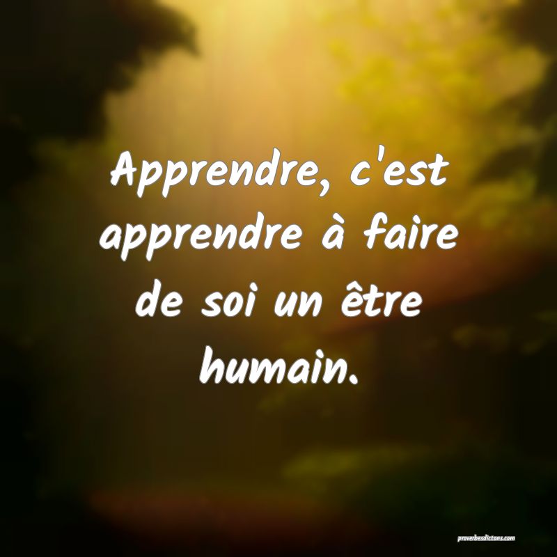 Apprendre, c'est apprendre à faire de soi un être humain.