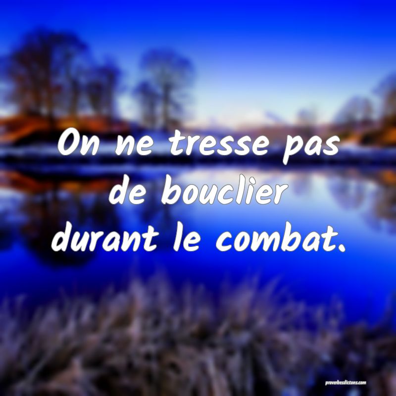 On ne tresse pas de bouclier durant le combat.