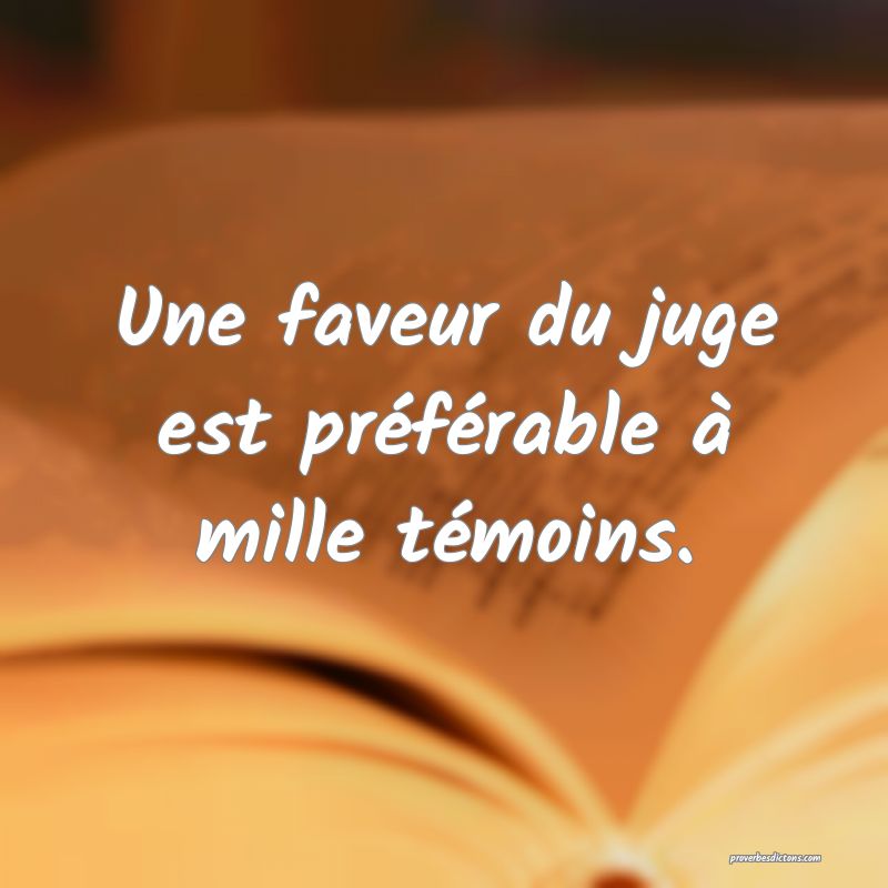 Une faveur du juge est préférable à mille témoins.