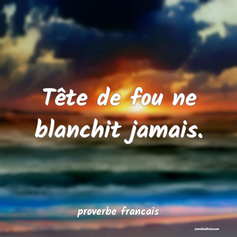Tête de fou ne blanchit jamais.