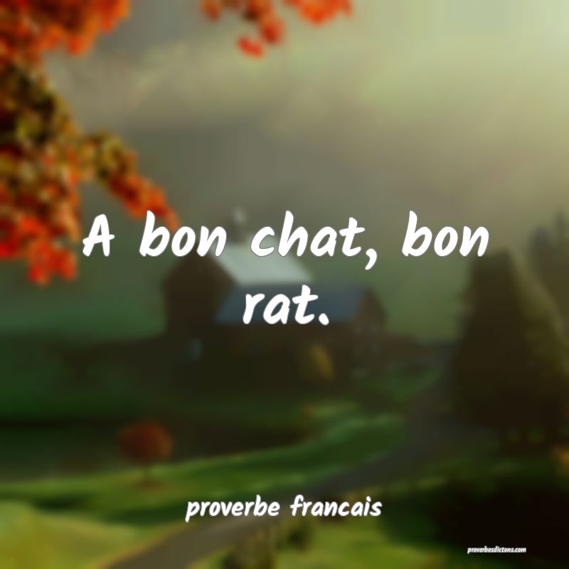 A bon chat, bon rat.