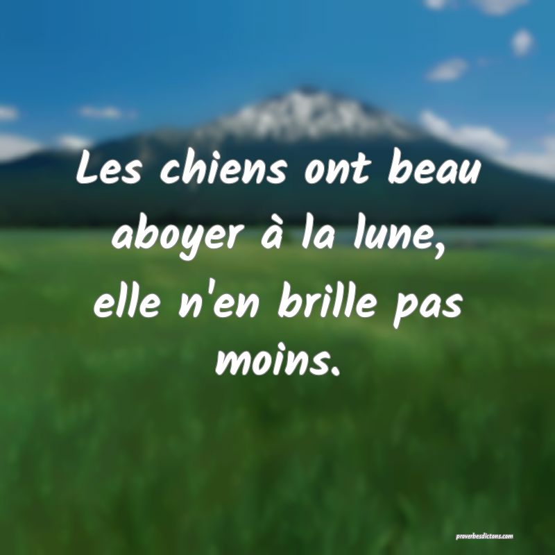 Les chiens ont beau aboyer à la lune, elle n'en brille pas moins.